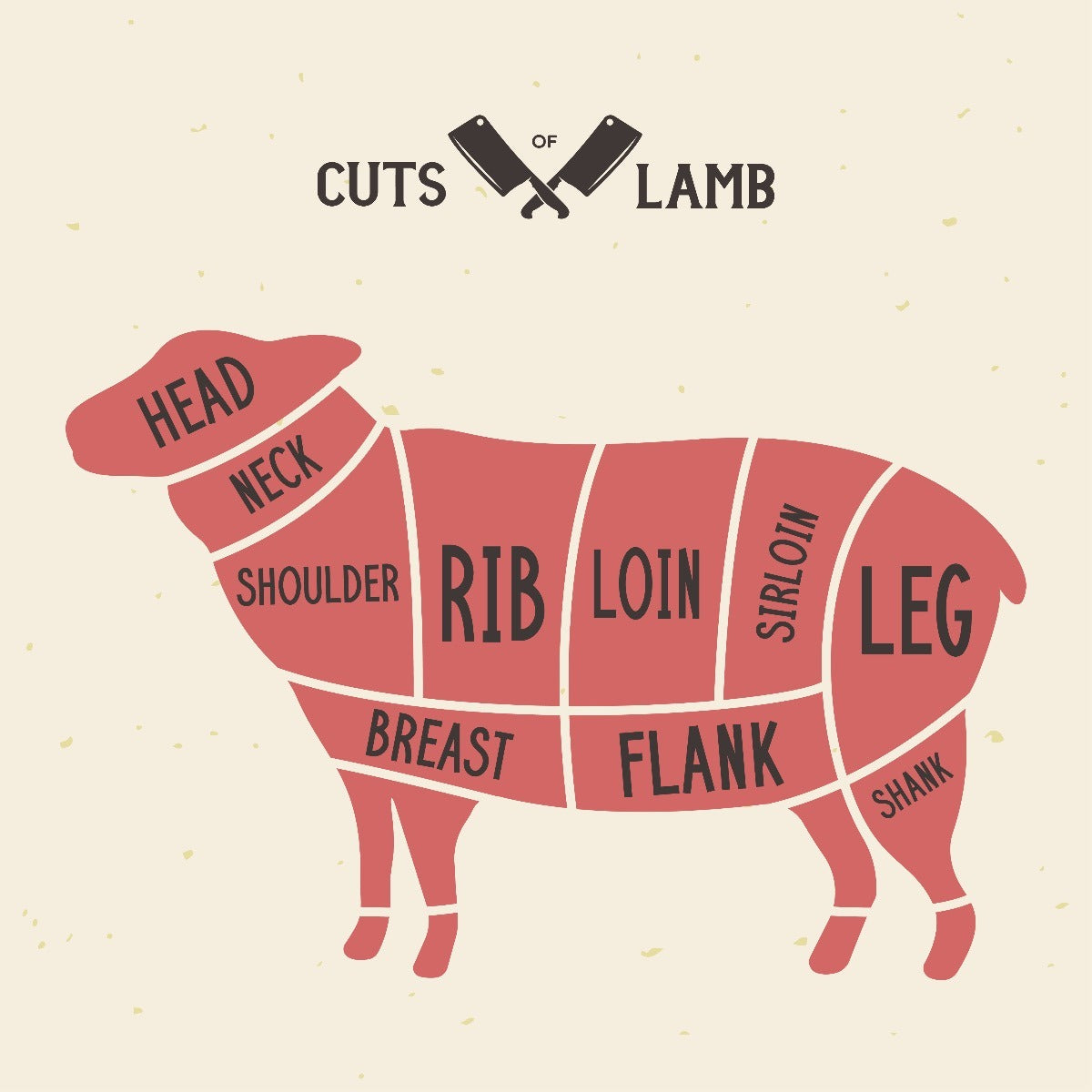 Lamb